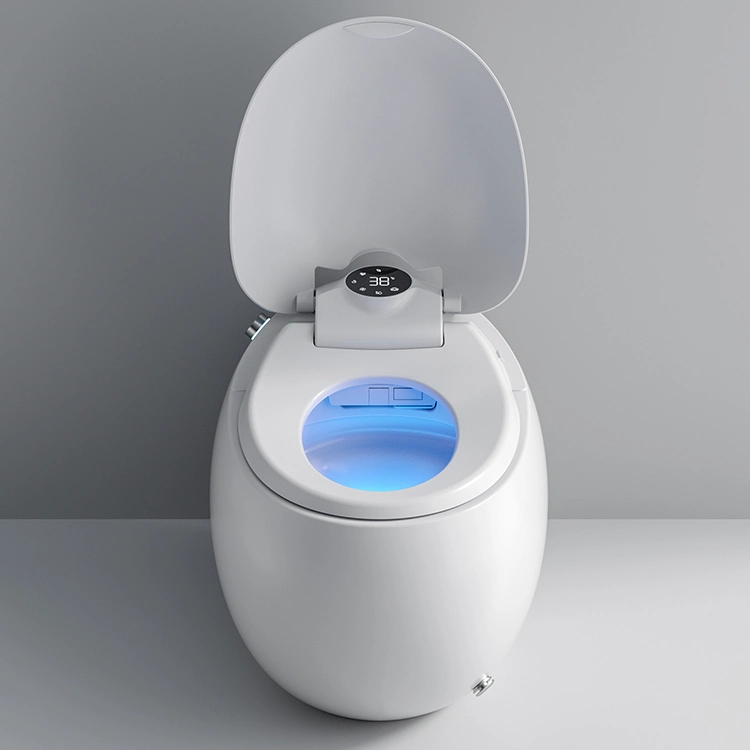 Egg Shape Ceramic Bathroom Intelligent Smart Toilet