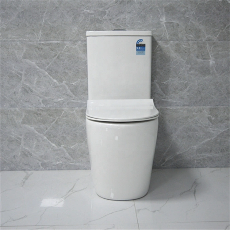 Ceramic Siphonic Wc Bathroom Flush Bidet Toilet