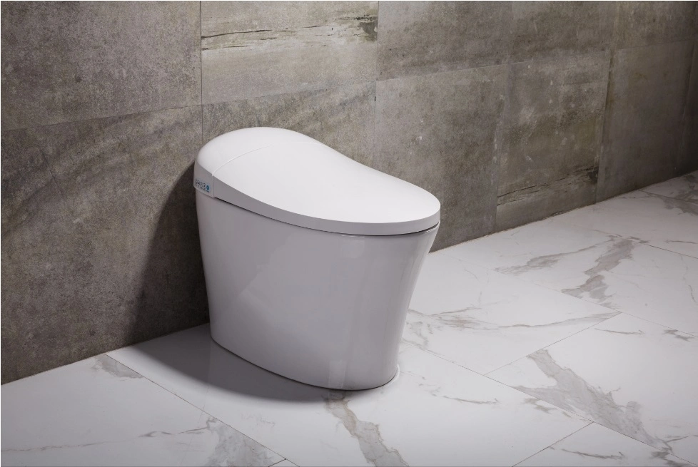 Hotel Bathroom Use Ceramic Toilets Water Closet Toilet