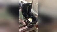 Wc P de una pieza de lavado de cerámica para baño de oro negro